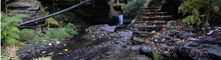 Sendero del Agua